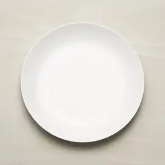 CRATE & BARREL - Plato principal Aspen en Porcelana 27 cm x 3 cm