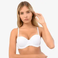 SYBILLA - Brasier Control