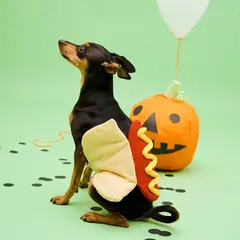 YAMP - Disfraz para Perro de HotDog