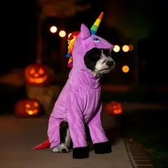 YAMP - Disfraz de Unicornio para Perro