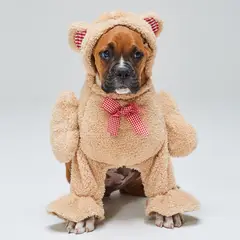 YAMP - Disfraz de mascota Oso de Peluche Teddy