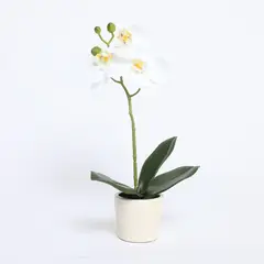 MICA - Planta Plástico 33 x 10 cm