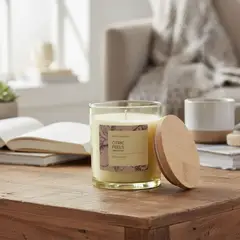 ROBERTA ALLEN - Vela aromática Lima y Limón Cera 10 x 8.2 cm