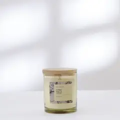 ROBERTA ALLEN - Vela aromática Lima y Limón Cera 10 x 8.2 cm
