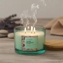 ROBERTA ALLEN - Vela aromática Jazmine Cera 9 x 11cm