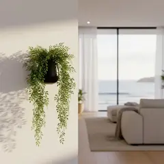 MICA - Planta 56 x 17 cm