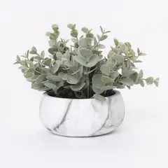 MICA - Planta 16 x 12 cm
