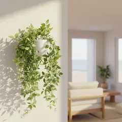 MICA - Planta 67 x 10 cm