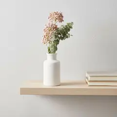 MICA - Planta 28 x 6.5 cm