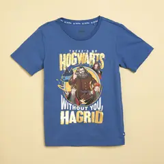 undefined - Camiseta Niño con Estampado Manga corta Algodón Harry Potter