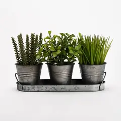 MICA - Planta Poliestireno 36cm x 19cm