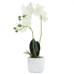MICA - Planta Plástico 47 x 11 cm