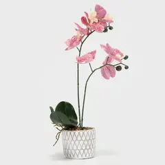MICA - Planta Plástico 47 x 11 cm