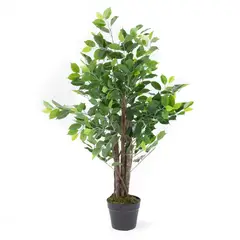MICA - Planta Plástico 90