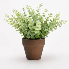 MICA - Planta Plástico 24cm x 15cm
