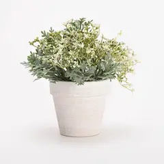 MICA - Planta Plástico 24cm x 15cm