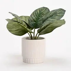 MICA - Planta Cerámica 22cm x 15cm