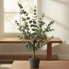 MICA - Planta Grande Eucalipto 95cm