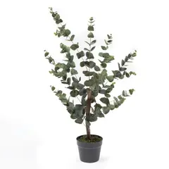MICA - Planta Plástico 95