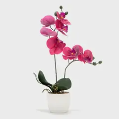 MICA - Planta Plástico 36 x 10 cm