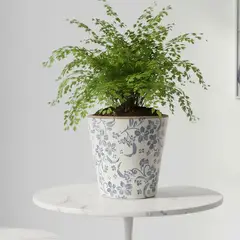 ROBERTA ALLEN - Macetera Cerámica 17 cm x 17 cm