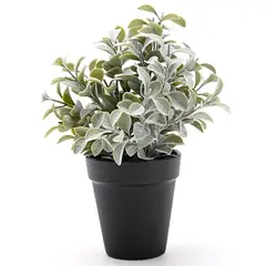 MICA - Planta Plástico 25 x 17 cm