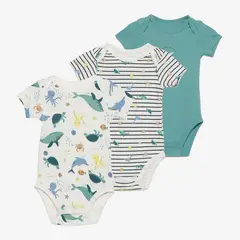 YAMP - Bodies Bebé niño Pack de 3 unidades  Algodón