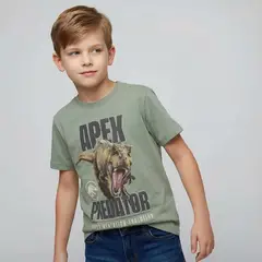 JURASSIC WORLD - Camiseta para Niño con Estampado Manga corta de Algodón