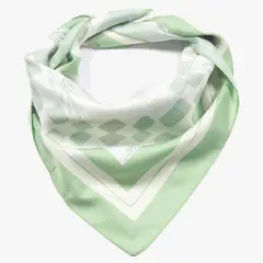 BASEMENT - Pañoleta PANB900V26 OLIVE ST