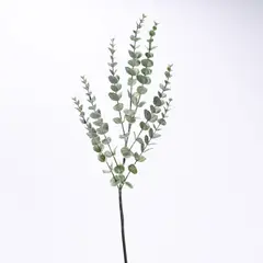 MICA - Rama Eucalipto 70cm