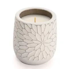 ROBERTA ALLEN - Velas Aromática White musk & Vanilla 9x10cm