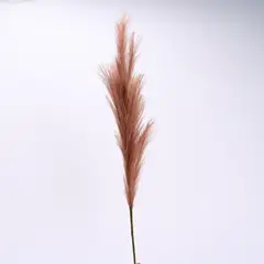 MICA - Rama Decorativa Pampas Marrón 114x7cm