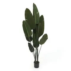 MICA - Planta Del Viajero 208cm