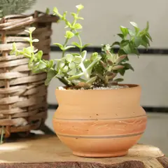 DISTRIRAQUIRA - Matera Arcilla Cónica Moyo Decorado 6x5x6cm Terracota