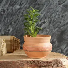 DISTRIRAQUIRA - Matera Arcilla Cónica Moyo Decorado 6x5x6cm Terracota