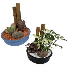 DECORPLANTAS - Mini Jardín Surtido Esmaltado de Interior Diámetro 20cm