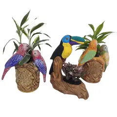 DECORPLANTAS - Colección Nativa Exótica de Interior Diámetro 20cm