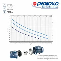 PEDROLLO - Equipo de Presión Future Jet 1.5 HP 110/220V + Tanque Hidroneumático Horizontal de 60 Litros