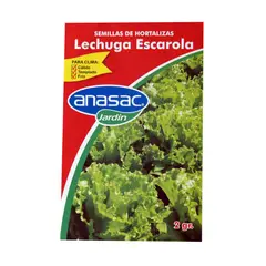 ANASAC - Semilla Lechuga Escarola 2 Gramos