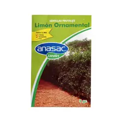 ANASAC - Semilla Swinglia Limón Ornamental 5 Gramos