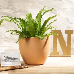 DISTRIRAQUIRA - Matera Arcilla Cónica Rústica 18x18x18cm Terracota