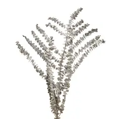 GENERICO - Follaje decorativo eucalipto gris