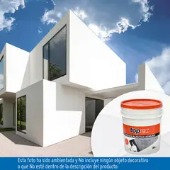 TOPEX - Estuco Plástico Interior/Exterior Para Techo/Paredes 5 Galones