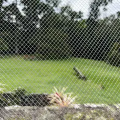 COLMALLAS - Malla Zaranda 4.23mm X 4.23mm 5 X 0.90m