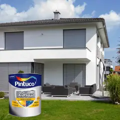 PINTUCO - Pintura para Exterior 1/4 Galón Blanco
