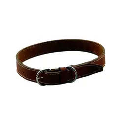 INTERPET - Collar Para Perro Cuero Grande