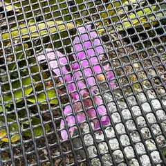 COLMALLAS - Malla Cedazo 1.20X10m Huecos 3X3-Pulg