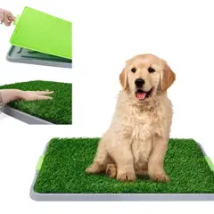 52 BITS - Tapete Baño Entrenamiento Para Perros Gatos Ecológico 42X67Cm