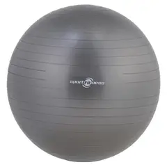 SPORTFITNESS - Balón Gimnasia 75 cm Gris Spotfitness Fitball