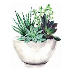 undefined - Kit De Pintura Por Números Para Adultos Con Diseño De Maceta De Suculentas